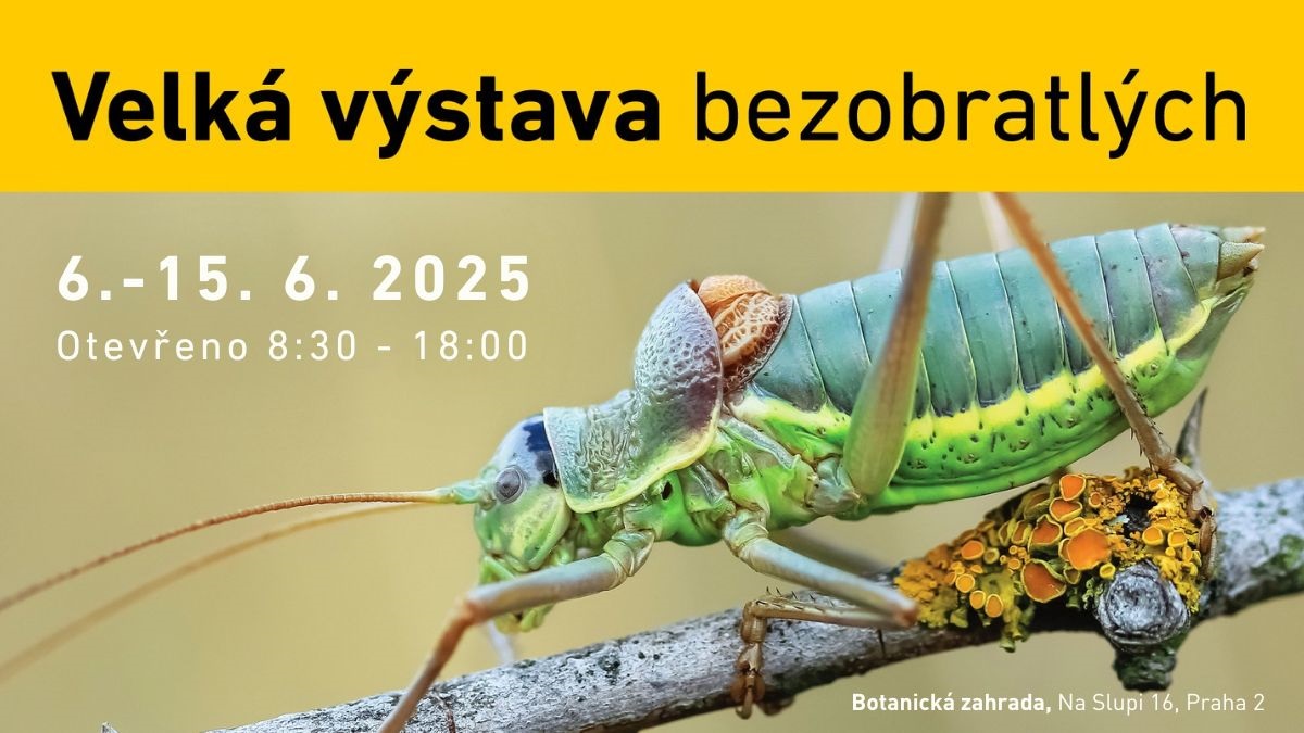 VVB 2025
