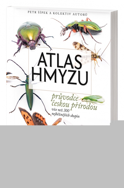 atlas hmyzu
