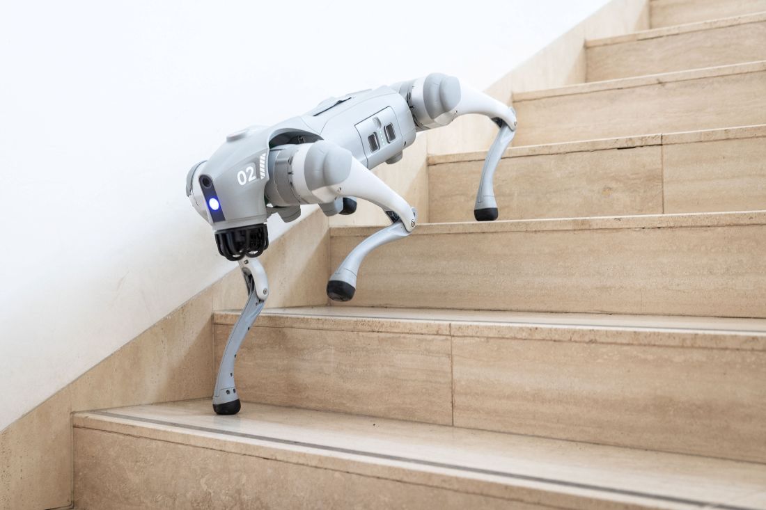 2025 06 25 roboti MatFyz 009