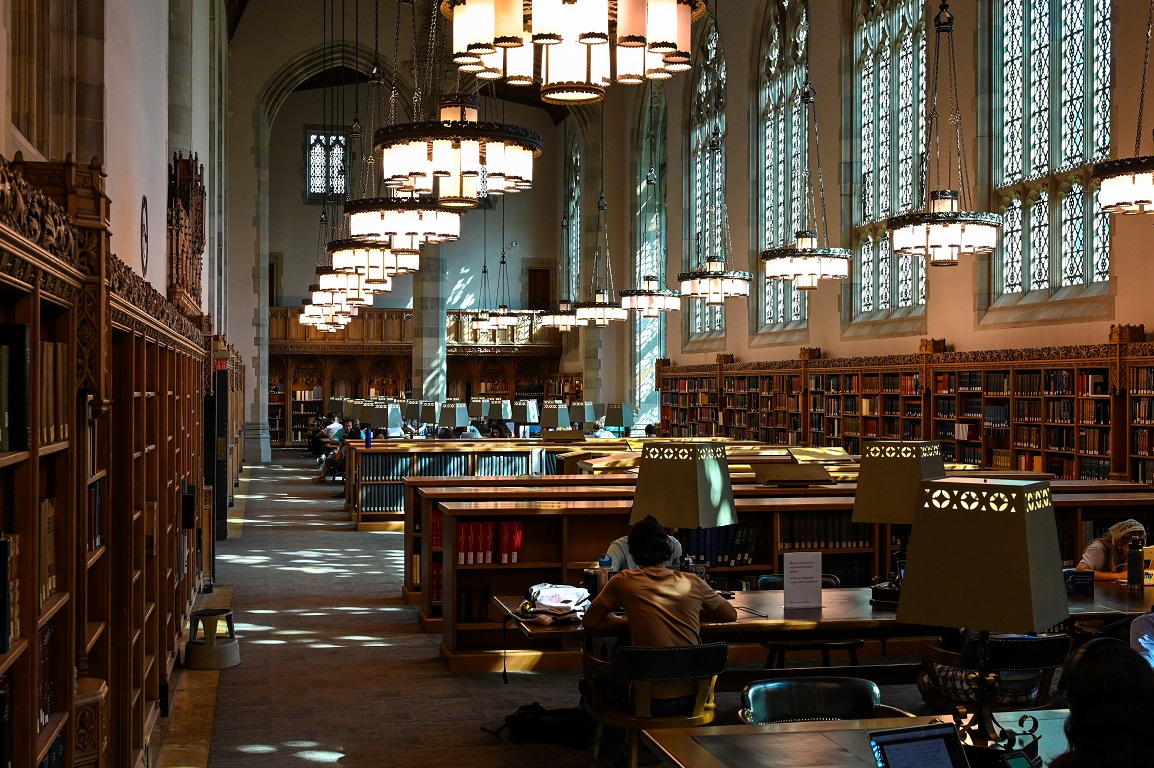 shutterstock 2257147245