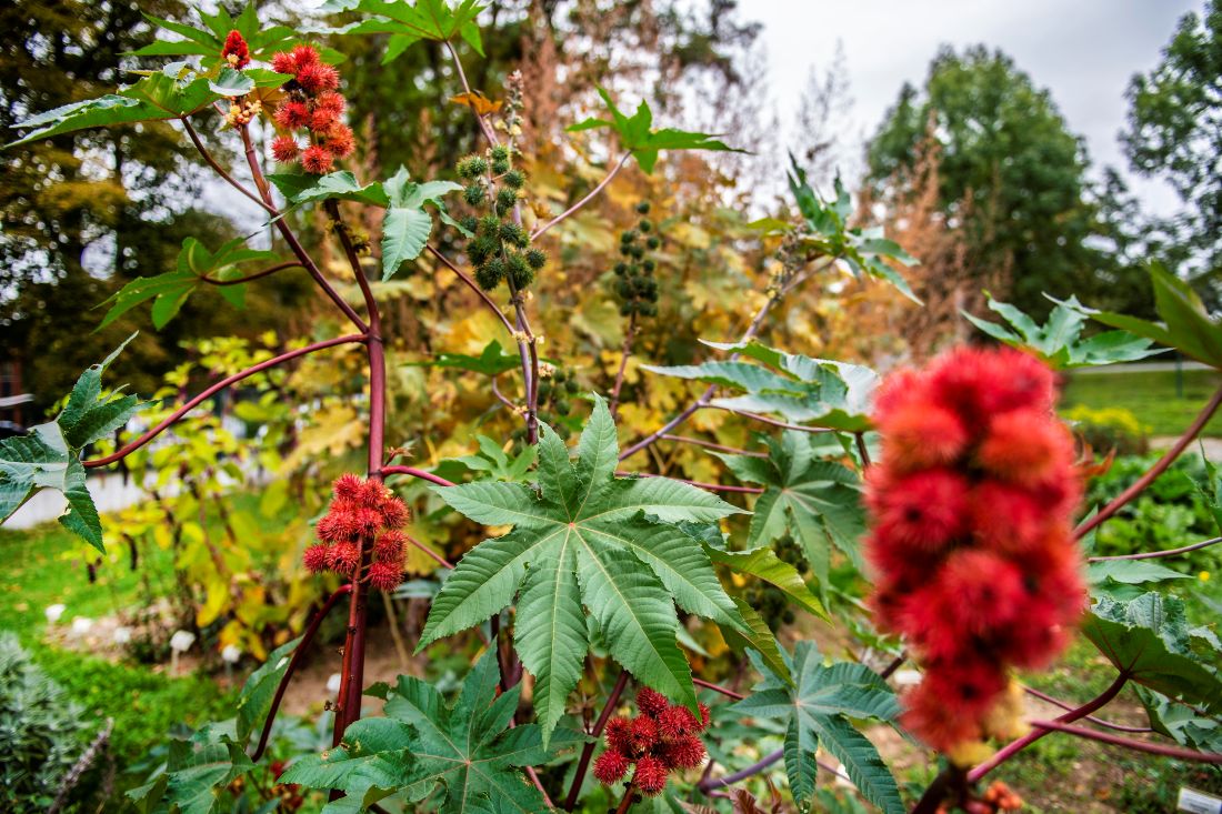 5df7250f 5f73 4f2b b694 42ba90677aae