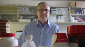 Tým docenta Mosingera vyvíjí obvazy budoucnosti