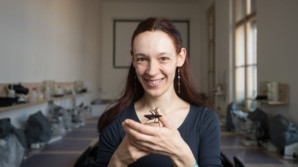 I havěť může být krásná. Objevíte celý nový svět