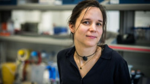 Potřebuji intelektuální výzvu