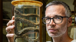 Poušť plná života. Šmíd za plazy vyráží do Saúdské Arábie