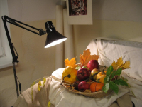 _emspaolaantonelli2011_018_full_original