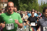 _galerie_8_full_original