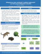 _bilingvismus_full_original