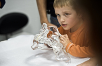 _kluk_anatomie_full_original