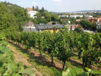 _troja1_full_original