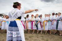 lapanje_kokota_EGO_11_original