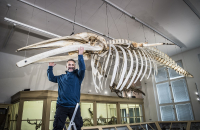 VS1_8364_up_original