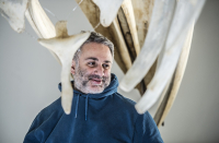 VS1_8461_up_original