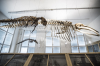 VS1_8672_up_original