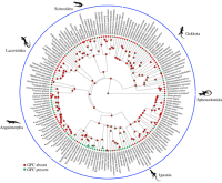rspb20202737f02_original
