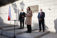 pieta_pochod_studentu_Royt_03_original