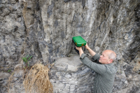 f4062da2-5577-4200-9f02-8c464728afc1_up_original