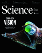 science.2019.364.issue-6440.cover_original