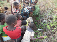 010_Etiopie_original