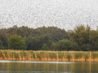 13_Spacci_nad_slatinou_original