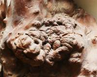 galerie_4_original_copy_1