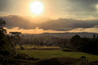 _borneo_full_original