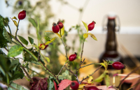 9cfc37c1-a228-4d68-85b5-2934f0cdb892_original