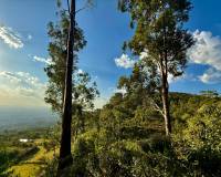 IMG-20260203-WA0019_original