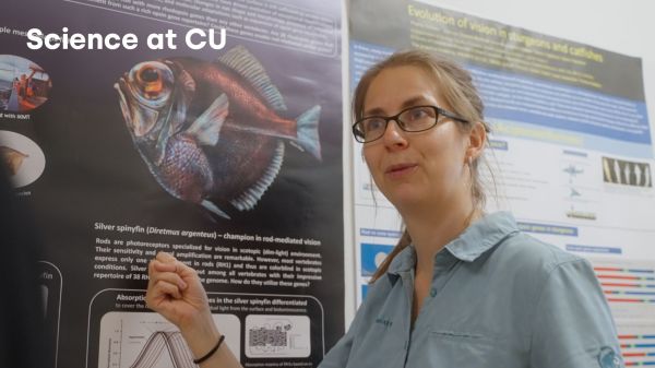 Science at CU: How do deep-sea fish see?