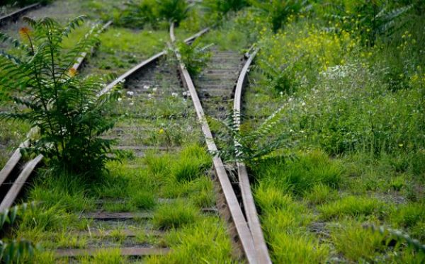 Míří na vedlejší kolej? Projekt chce dát šanci i starším migrantkám žijícím v ČR