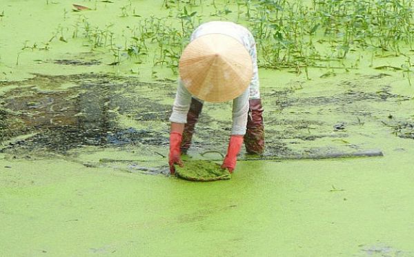 Pro studium vietnamské politiky chybí podklady, pracujeme na nich