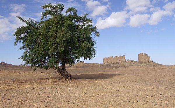 Výstava v Celetné představuje výzkum českých archeologů v egyptské poušti 